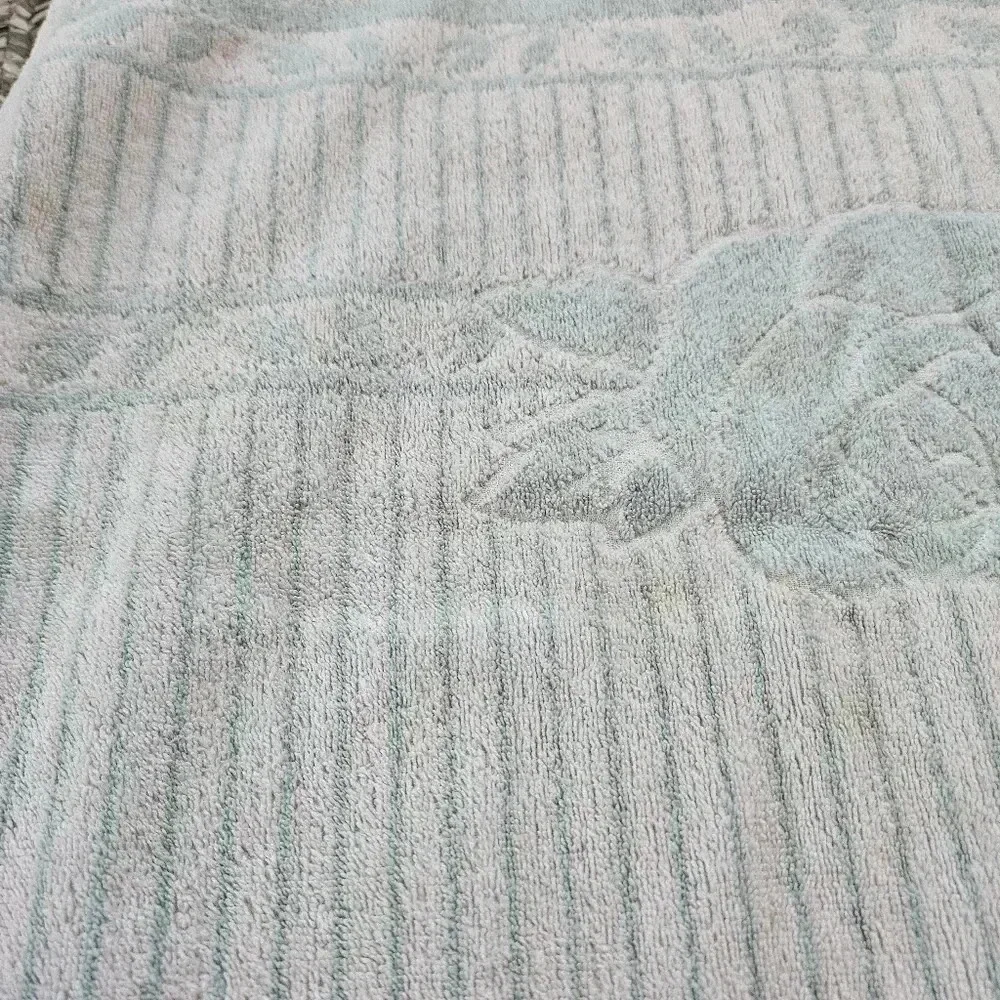 Cannon‎ Bath & Hand Towel Royal Family Retro Mod Flowers Mint Green USA Vintage